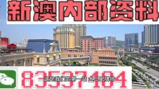 2024新澳门正版免费资,案例实证分析_活力版