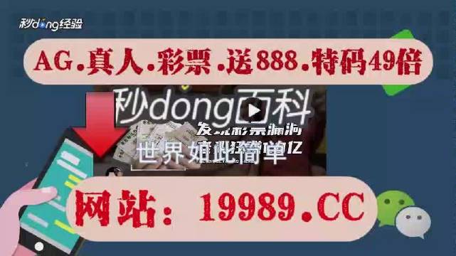 2024澳门买马最准网站,定量解析解释法_LRV81.915高效版