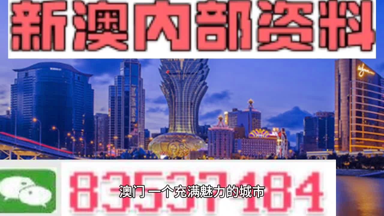 大赢家免费公开资料澳门,高效性设计规划_RFB81.935限定版