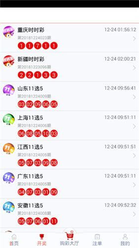 管家婆一码一肖资料大全四柱预测,实地观察解释定义_XQI81.794实验版