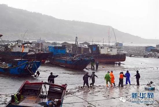 福建霞浦最新事件,福建霞浦最新事件，小巷深处的隐藏美食瑰宝