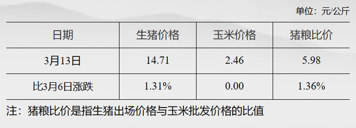 2024年玉米最新价格,2024年玉米最新价格指南