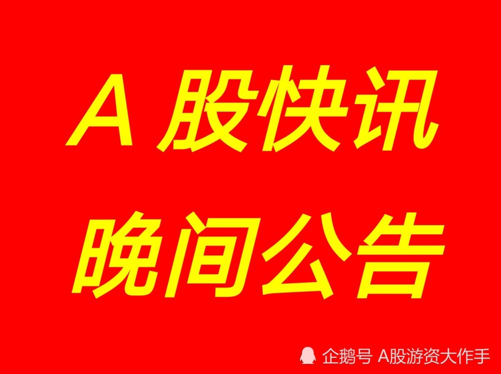 上市公司重大事件，爱的纽带与陪伴的力量，日常与小事件的重要性