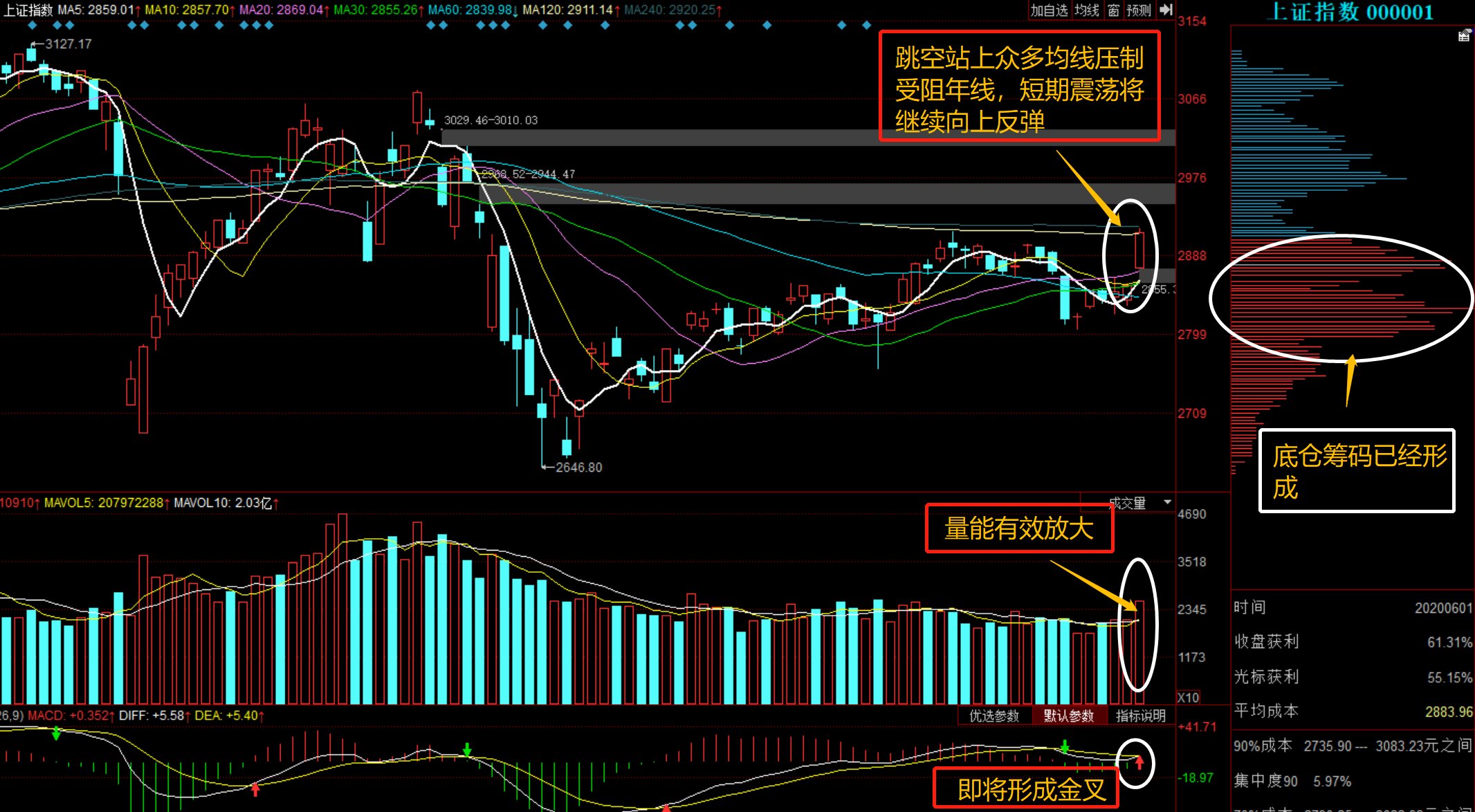 2024年12月 第20页