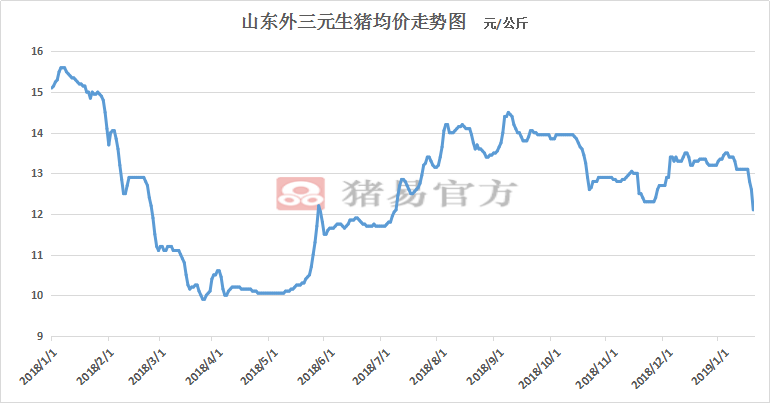 山东今日猪价行情揭秘，绿色之旅寻找内心平静